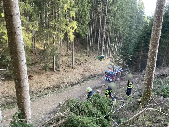 Im Einsatz standen die Feuerwehren Straßburg, St. Georgen/Straßburg, Winklern-Hausdorf, Gurk, Pisweg und Weitensfeld. | Foto: Feuerwehr Strassburg