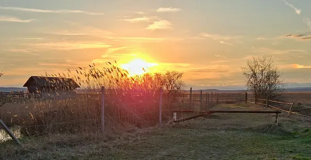 Stimmungsvoller Sonnenuntergang: Sanfte Farben und weites Licht zum Monatsausklang – ein besonderes Danke an unsere Community für die vielfältigen Eindrücke dieses März. | Foto: renatahfotografie