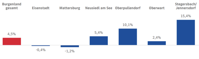Bei der Arbeitslosigkeit sind unterschiedliche Entwicklungen in den burgenländischen Bezirken deutlich zu erkennen. | Foto: AMS Burgenland