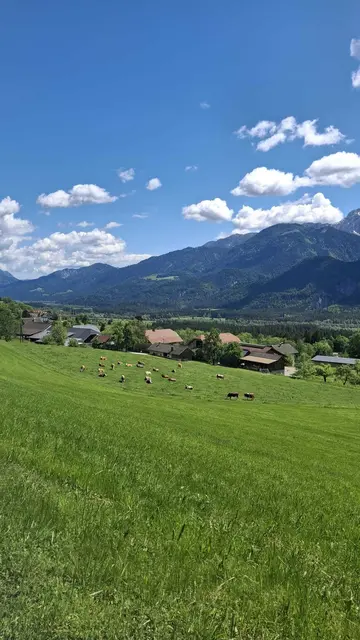 Lieblingsaussicht auf den Hof | Foto: Privat