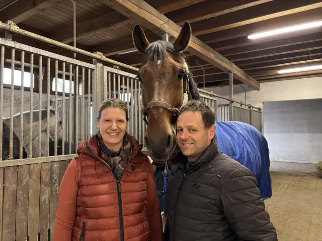 Katrin und Mario Bodendorfer bieten bei Equi Novum neben normalem Reitunterricht auch tiergestütztes Coaching und Therapie-Pferde an. | Foto: Lauren Fahrenberger / MeinBezirk