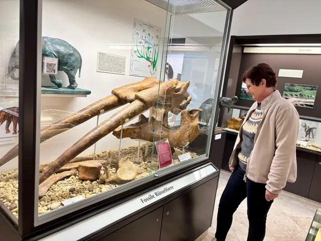 Elisabeth Frank zeigt die "Schätze" im Krahuletzmuseum in Eggenburg. | Foto: Markus Kahrer