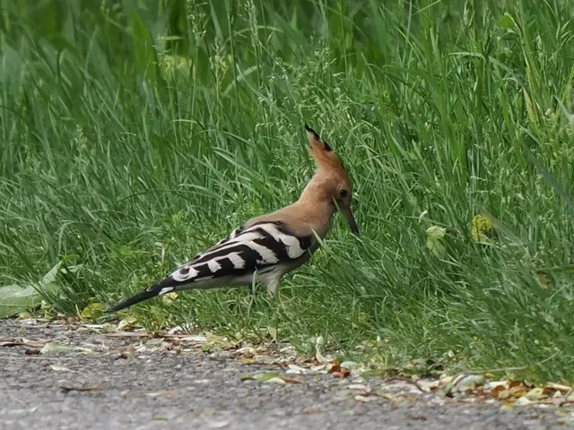 Foto: Georg Strasser