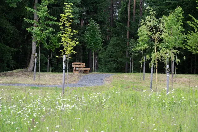Friedensforste werden immer gefragter. | Foto: BKG Bestattung