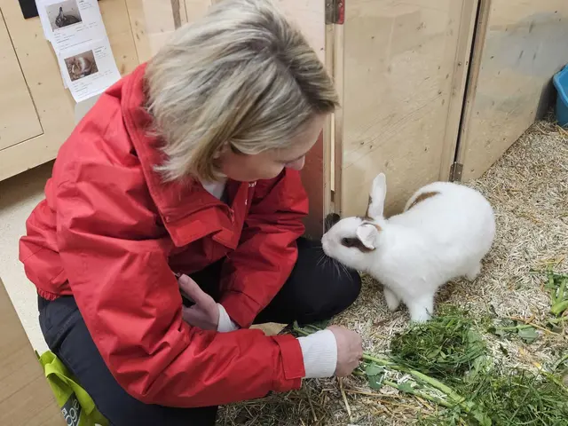 MeinBezirk Redakteurin Tanja Handlfinger zu Besuch im Tierheim St. Pölten. | Foto: Bischof