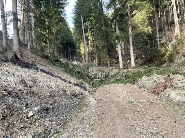 Foto: Feuerwehr Strassburg