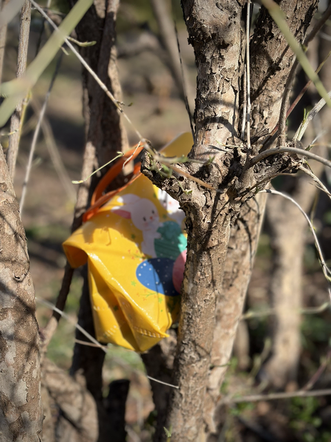 Mit Herz und Tradition: Osternestsuche der Jungbauern/Landjugend Telfs