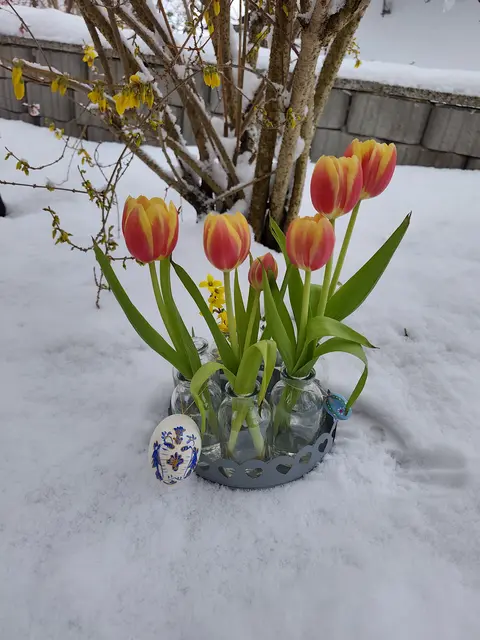 Ostern im Schnee