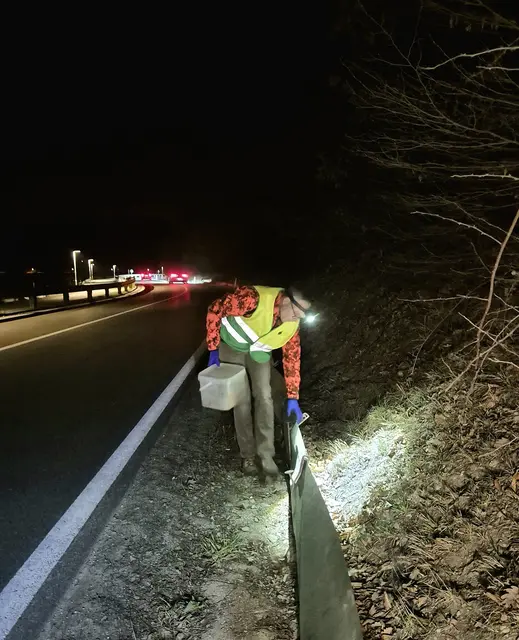 Amphibienrettung bei Nacht | Foto: Johannes Ploderer
