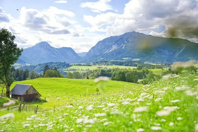 Idylle pur: Nicht nur im Ortsteil Gatschberg kann man die Seele baumeln lassen und die Natur genießen. | Foto: Gemeinde Sölk