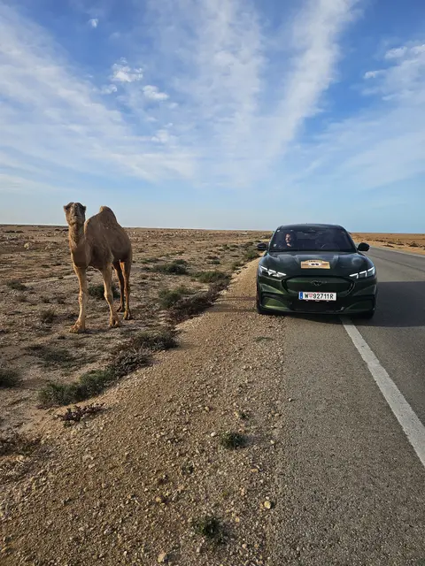 Der Ford Mustang Mach-E hat ein große Reichweite