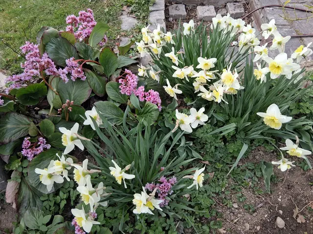 Bläst im April der Nord, so dauert gutes Wetter fort.