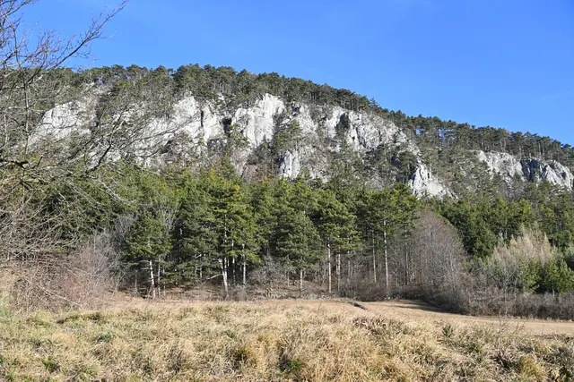 Naturpark Flatzer Wand. | Foto: Herbert Ziss
