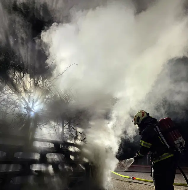 Brand von Mülleimern und einer Hecke