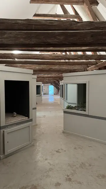 Die Ausstellungsräume in Schloss Gloggnitz wurden am 13. März im Rahmen der Ausstellung  KUNST.STADT.GLOGGNITZ eröffnet. | Foto: Stadtgemeinde Gloggnitz