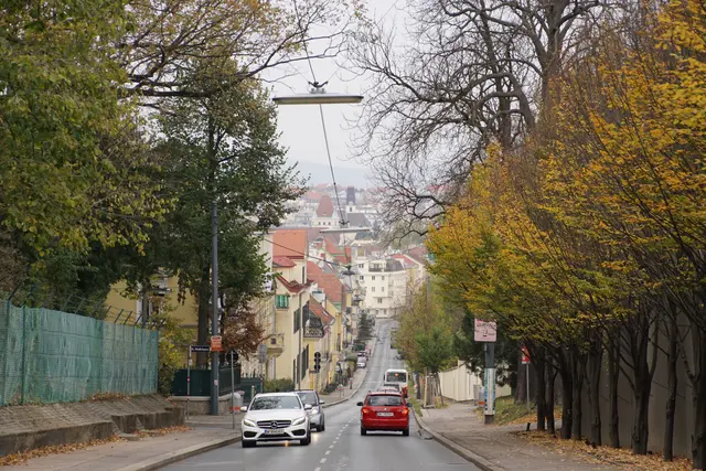 Maxingstraße (Symbolbild) | Foto: Alois Fischer