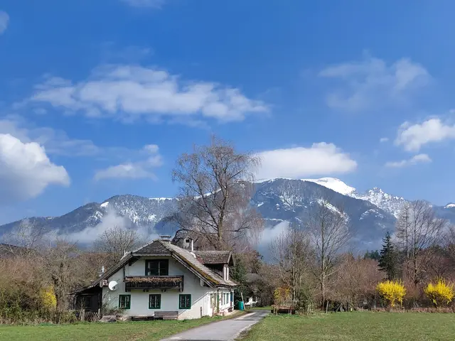 Blick auf den Schafberg  | Foto: H.Bachinger
