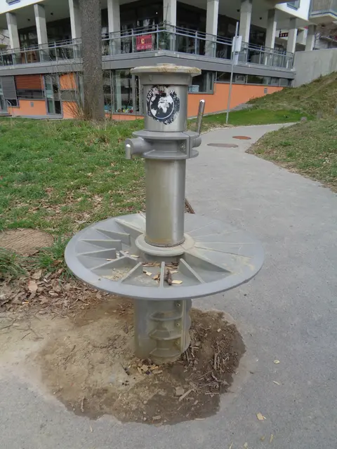 Foto: Patricia Hillinger/MeinBezirk