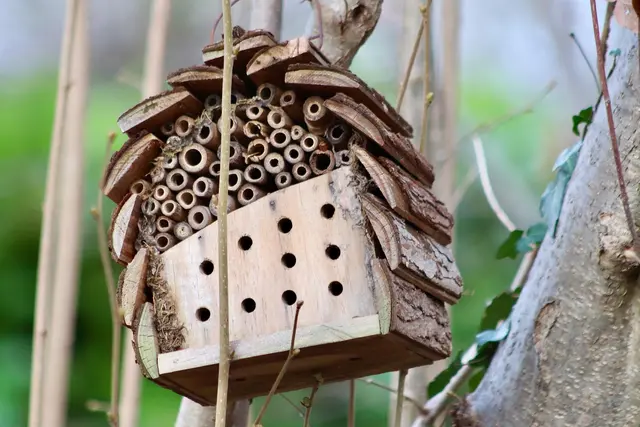 Ein Insektenhotel bereichert den heimischen Garten und ist nur eine Möglichkeit diesen in ein ökologisches Paradies zu verwandeln. (Symbolfoto) | Foto: pixabay / Nennieinszweidrei