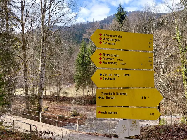 Zinkenbachrundweg | Foto: H.Bachinger