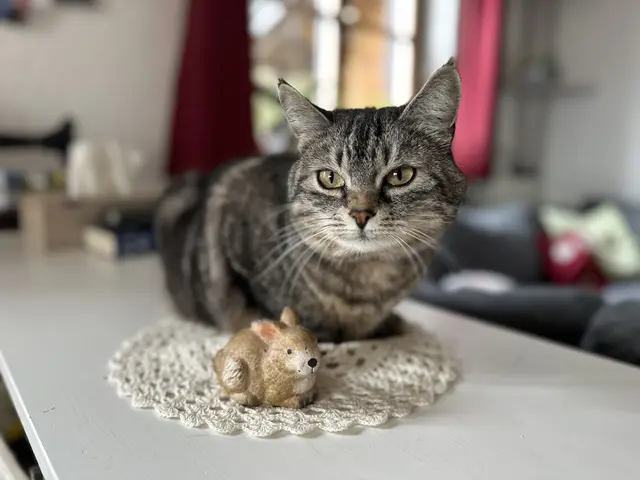 "Mausi" wünscht frohe Ostern. | Foto: Weninger