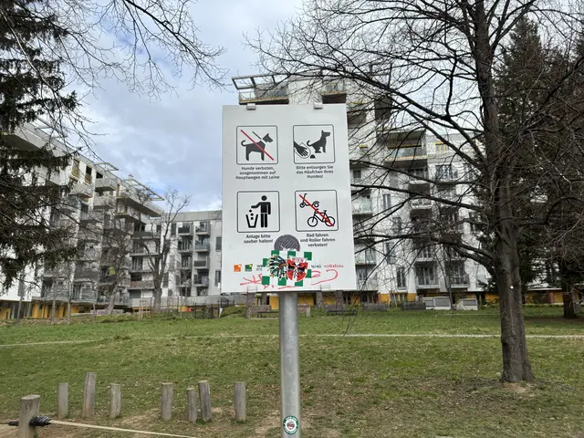 Foto: Patricia Hillinger/MeinBezirk