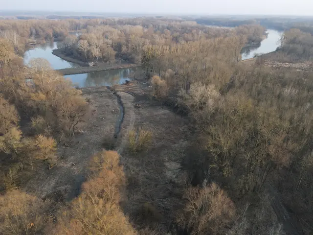 So stärkt das 900-Meter-Projekt Biodiversität und Hochwasserschutz