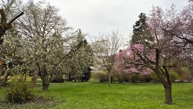 Der Botanische Garten in Schönbrunn