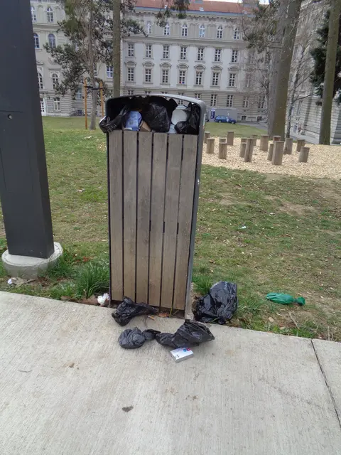 Foto: Patricia Hillinger/MeinBezirk