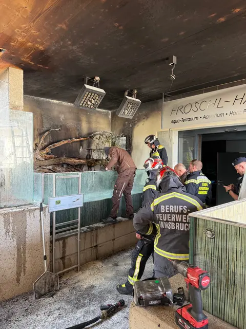 Alpenzoo arbeitet an der Klärung der Brandursache
