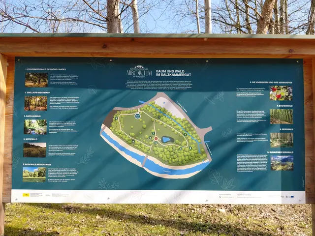 Arboretum | Foto: H.Bachinger