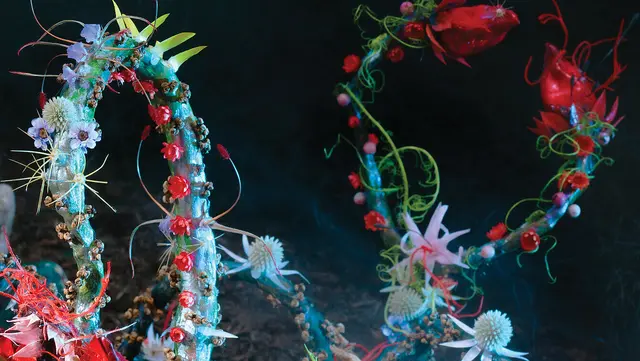 [Anzeige] Das blumige Open House lockt mit vielfältigem Programm am Wochenende