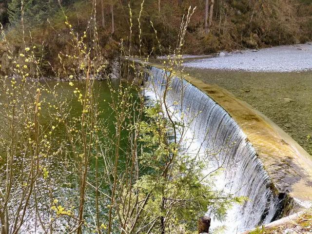 Wanderung in Abersee am Wolfgangsee