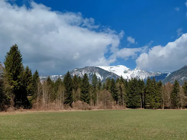 Schafberg | Foto: H.Bachinger