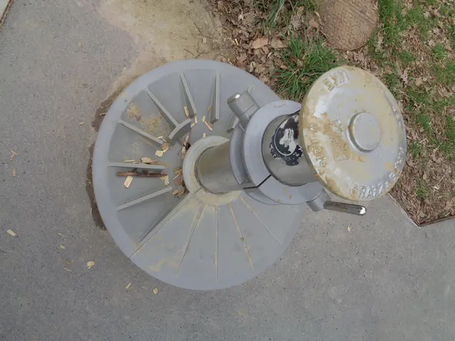 Foto: Patricia Hillinger/MeinBezirk