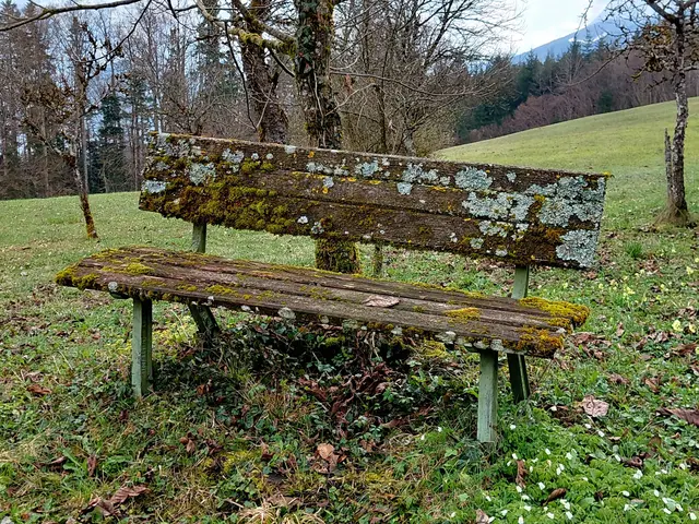 Schon lange nicht mehr benutzt | Foto: H.Bachinger