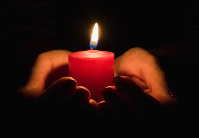 Ein 75-Jähriger kam bei Waldarbeiten ums Leben. | Foto: stock.adobe.com/at/Metnitz