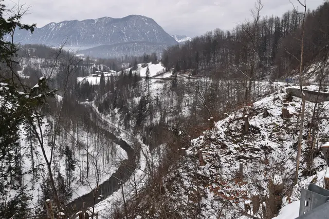 Totalsperre wegen Holzfällerarbeiten am 14. und 15. April