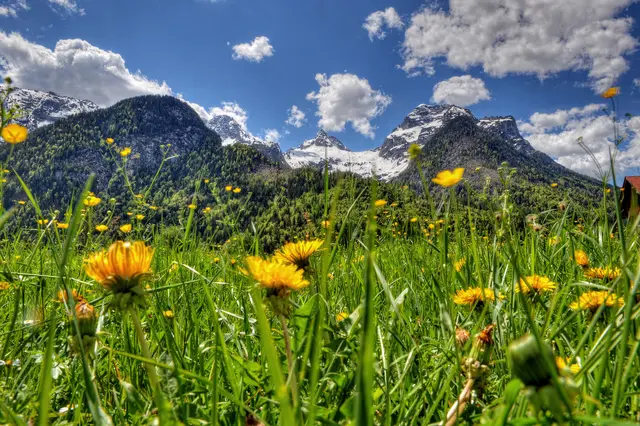 Blick auf die Loferer Steinberge | Foto: Salzburg Saalachtal Tourismus/Kerson Jönsson