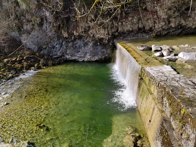 Zinkenbach  | Foto: H.Bachinger