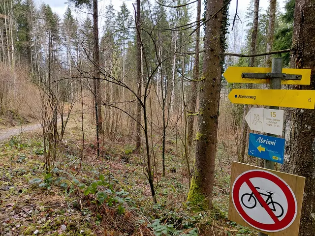 Weiter geht's am Aberseeweg | Foto: H.Bachinger