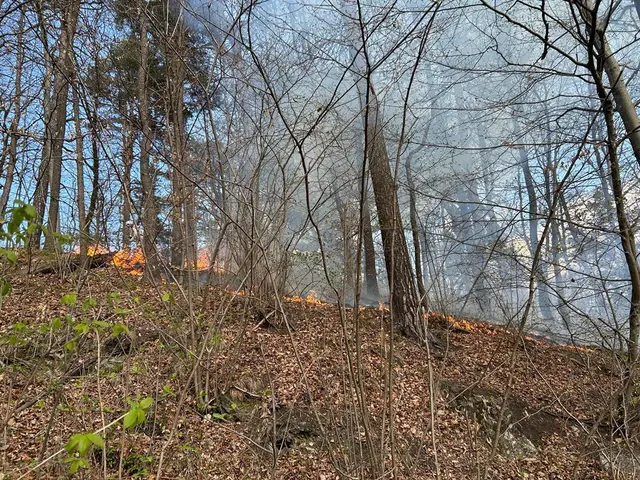 Kinder lösten Feuerwehr-Großeinsatz in Seegraben aus