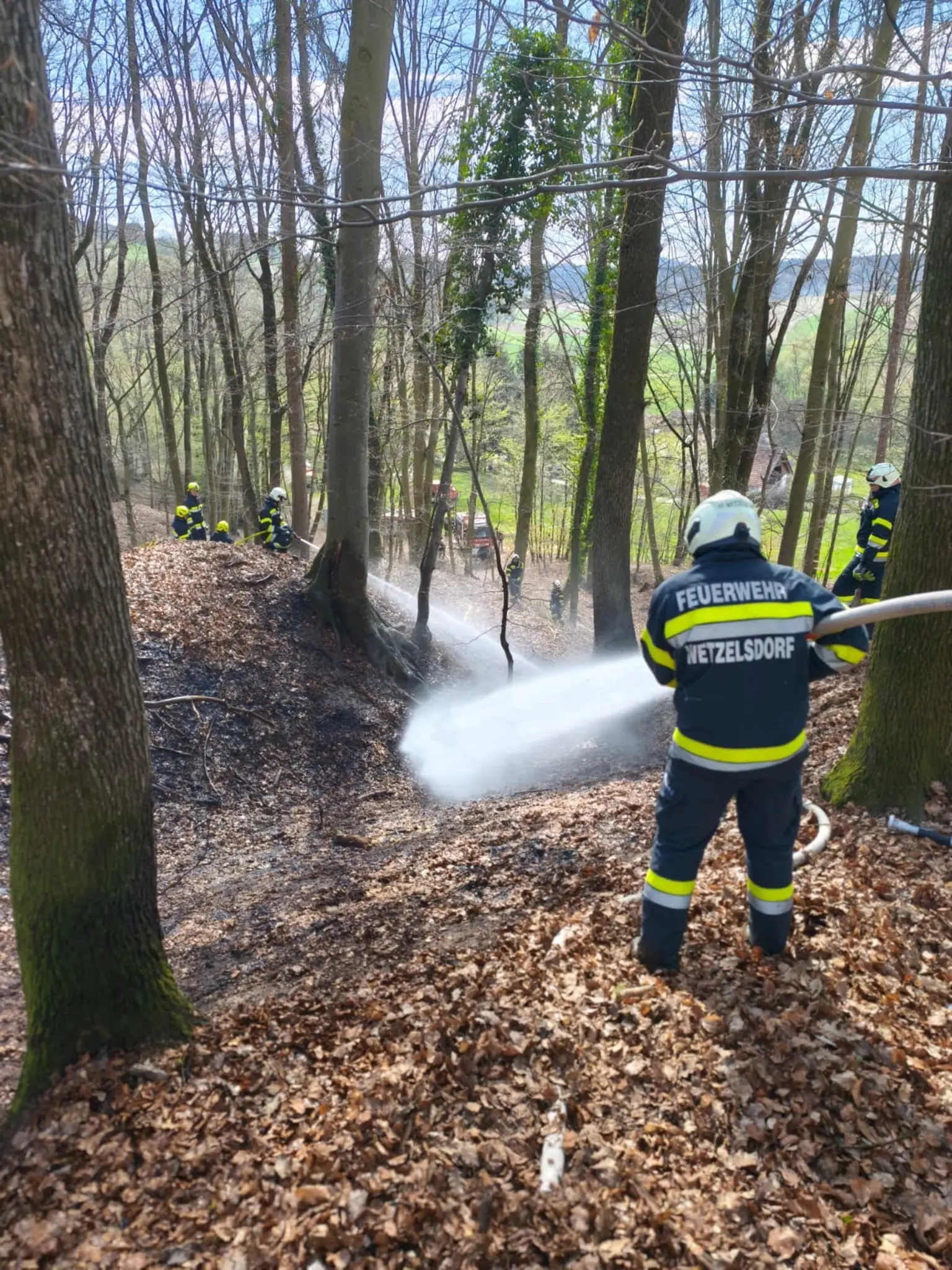 Forest fire in Jagerberg: Quick response prevents major blaze ...