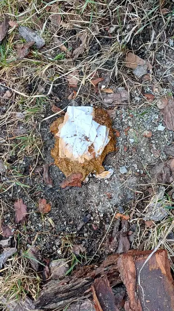 Unappetitliche Hinterlassenschaften sind auch eine Folge von WIldcampen - wohin, wenn kein WC vorhanden? | Foto: TBW Est. Stubai