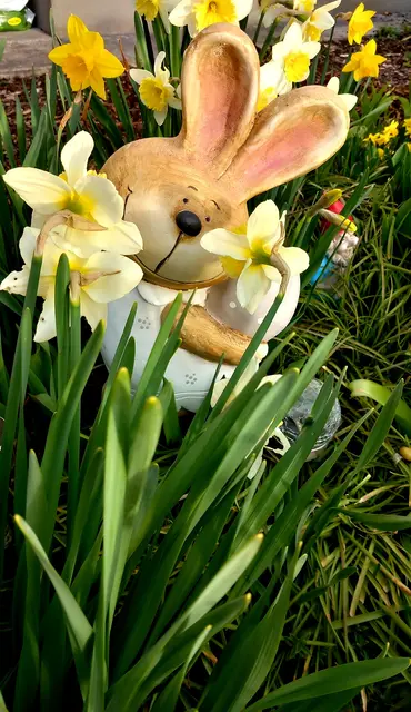 Der Osterhase ist schon fleißig unterwegs