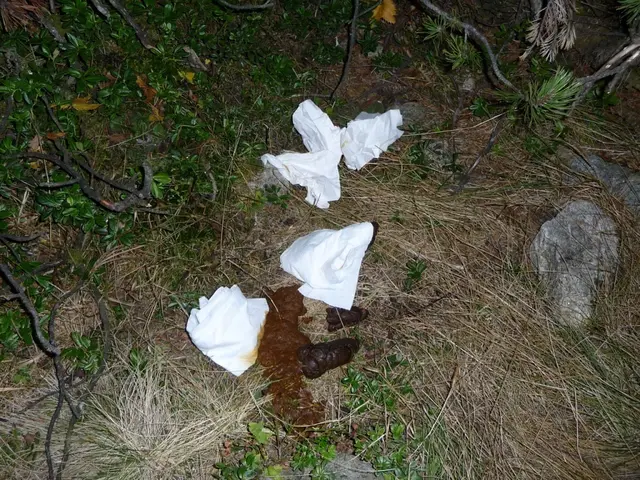 Die Natur im Bereich von WIldcamping-Stellplätzen leidet sichtbar. | Foto: TBW Est. Stubai