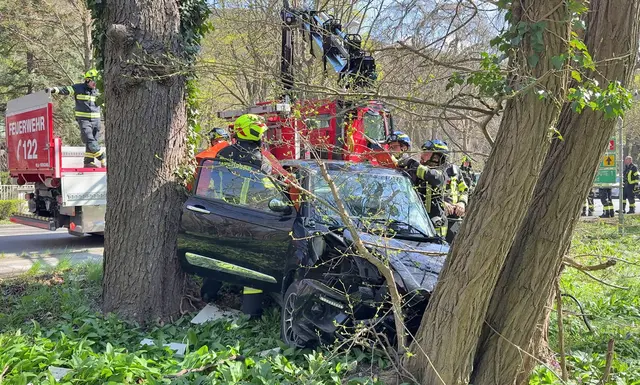 Kleinkraftwagen gegen Baum, Fahrer verletzt