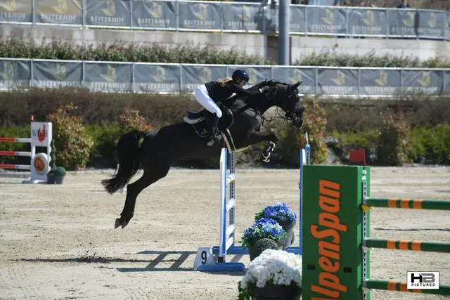 Kein Problem - eines der vielen 130cm Hindernisse | Foto: Bernd Haider