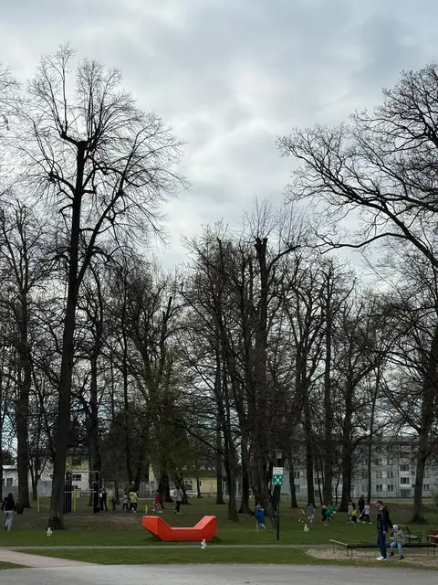 Foto: ÖVP Pinkafeld