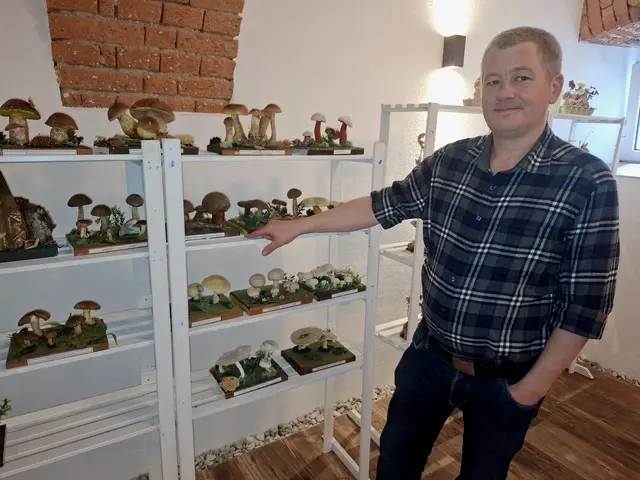 Pilz-Ausstellung im Gasthof Schauer in Waldhausen im Strudengau.  | Foto: Zinterhof